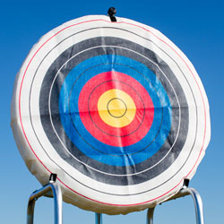 48 in. Round Ethafoam Target With Replaceable Core