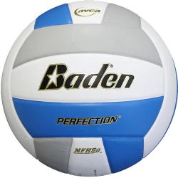 Baden Perfection Volleyball