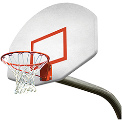 4' Gooseneck System - Lifetime Rim & Nylon Net