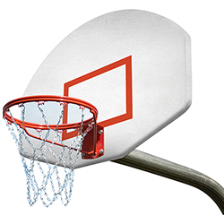 4' Gooseneck System - Lifetime Rim & Chain Net