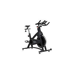 Schwinn IC Classic
